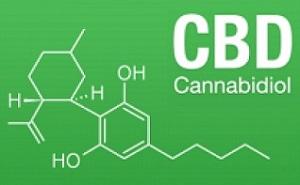 CBD passes stage 3 clinical trial for treatment of epilepsy in children